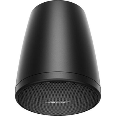 Bose Professional FreeSpace FS2P 2.25" 20W Passive Pendant Speaker (Pair, Black)