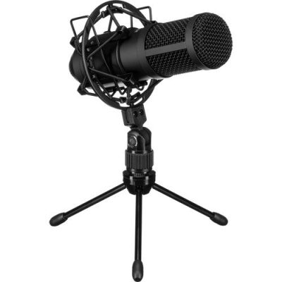 Tascam Dynamic Microphone TM-70 Supercardioid for Podcasting