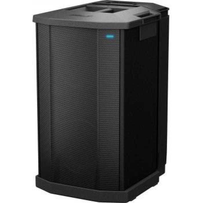 Bose Professional F1 Subwoofer Powered 1000W with Dual 10-inch Drivers 731444-4110