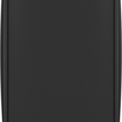 Tannoy DVS 4T Coaxial Surface-Mount Loudspeaker 160W with Transformer, Pair (Black)