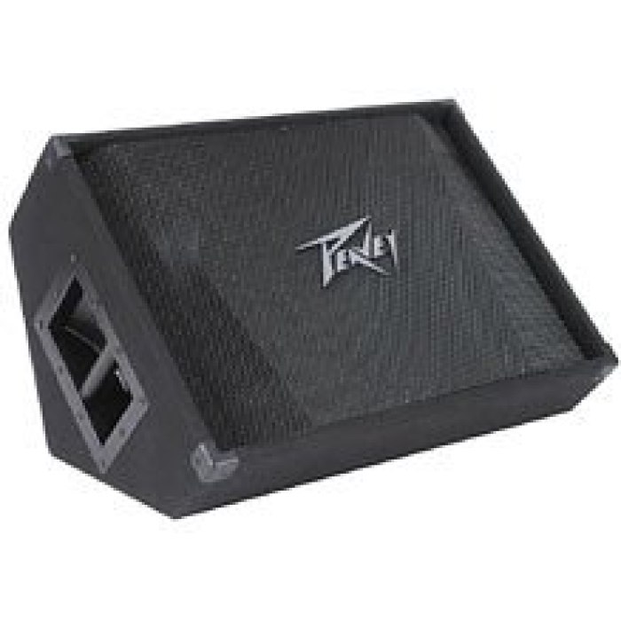 Peavey PV® 15M 2-WAY FLOOR MONITOR