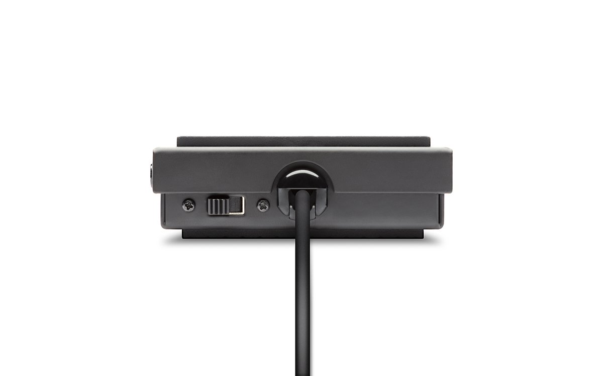 Alesis ASP1 Sustain Pedal with Polarity Switch for Keyboards - Image 2