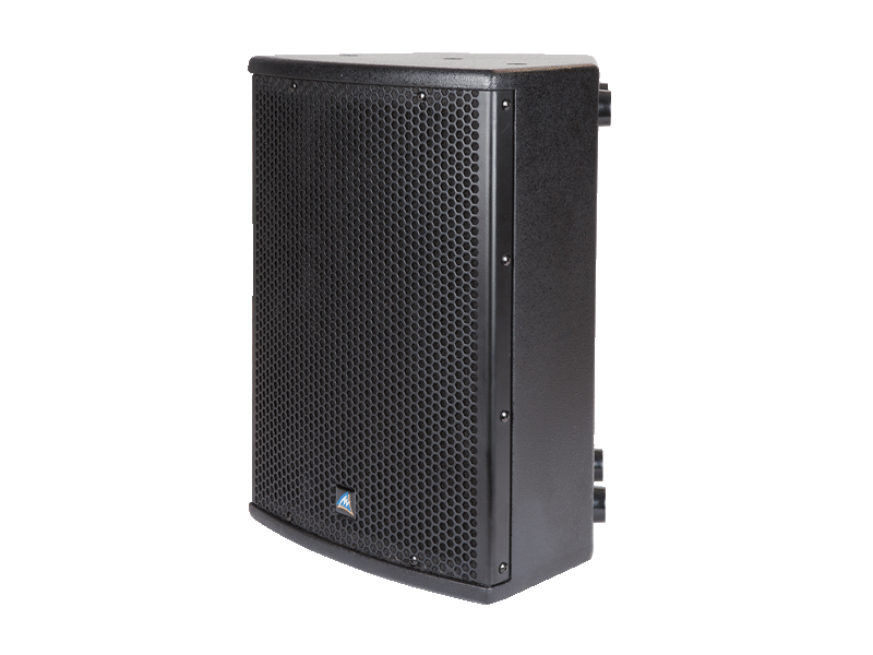 Australian Monitor XDS10 10 inch Passive Speaker 250W, Black - Image 2