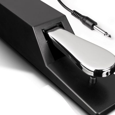 Alesis ASP2 Piano Sustain Pedal with Polarity Switch and 6ft Cable for Keyboards