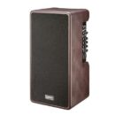 Laney A-DUO A Series 120W 2x8" Acoustic Guitar Combo Amp