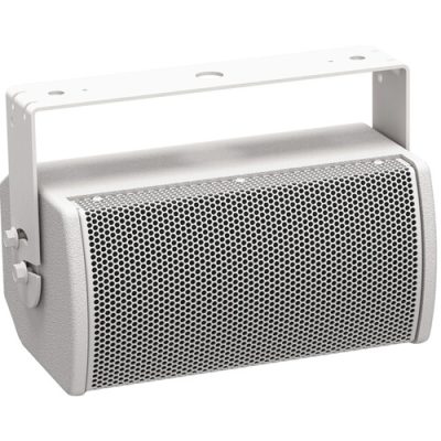 Bose ArenaMatch Utility AMU105 Outdoor Loudspeaker (White) — 5.25″, 100°×100°, IP55, 70/100V, MFR #811433-0210.