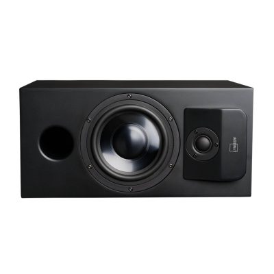 Lyngdorf Audio CS-1 - In-Cabinet Speaker